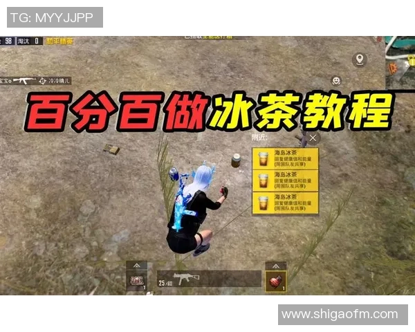 和平精英巨献：深入解析LNG战队的战术布局与团队协作技巧