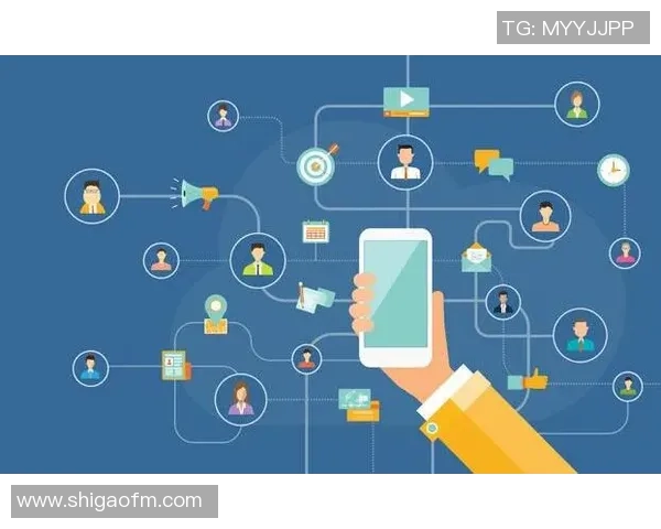 飞盘战术与团队协作:解析北京飞盘队的运营与发展模式